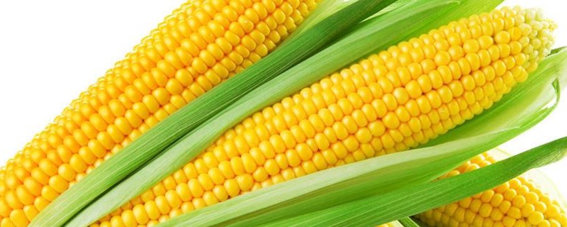 玉米叶面肥的作用
