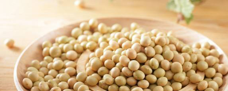 种黄豆每亩多少斤种子