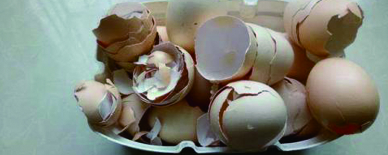坏鸡蛋做花肥的方法