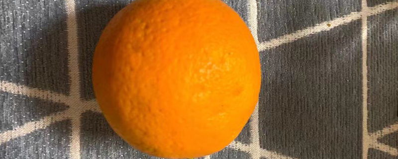 麻阳橙子几月可以出产