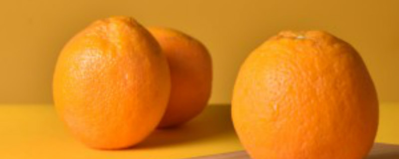 橙种植方法和时间