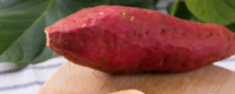 红薯种植方法和时间