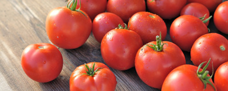 西红柿如何施肥
