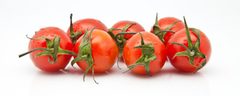番茄用什么土壤种植