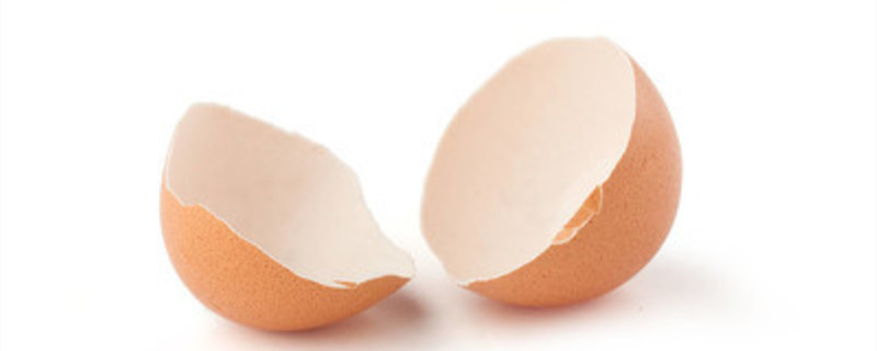 鸡蛋壳做肥料正确的做法