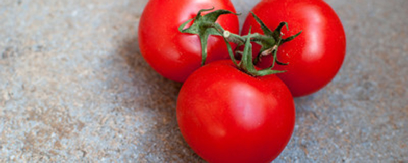 西红柿落花是什么原因