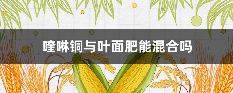 喹啉铜与叶面肥能混合吗