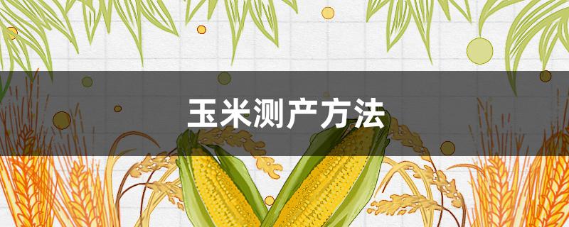 玉米测产方法