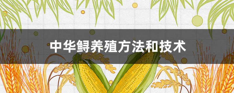 中华鲟养殖方法和技术